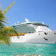 Image for article titled Widow Pays $164,000 Per Year to Live on a Luxury Cruise Ship